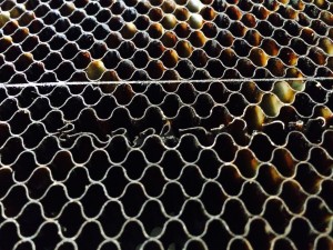 Damage to honeycomb mesh